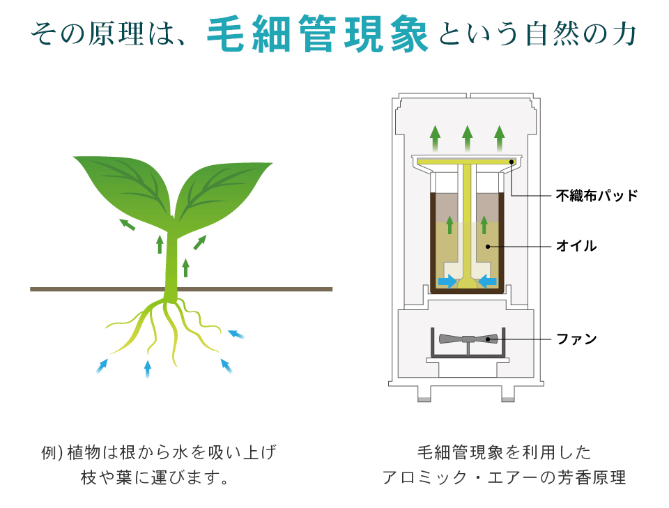 その原理は、毛細管現象という自然の力